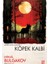 Köpek Kalbi - Mihail Bulgakov 1