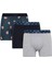 Regular Fit Hayvan Baskılı 3'lü Boxer E0034AX24WN 1