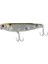 Ryujı Crazy Dog 9.5cm 15GR 1
