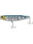 Ryujı Crazy Dog 9.5cm 15GR 1