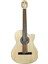 Elektro Klasik Gitar 1