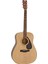 F370 DW Akustik Gitar 2