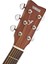 F370 DW Akustik Gitar 5