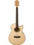 EA20 Elektro Akustik Gitar 2