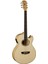 EA20 Elektro Akustik Gitar 3