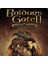 Baldur's Gate Iı: Enhanced Edition Steam CD Key 1
