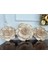Gül ve Lotus 3 Lü Duvar Dekor , Çiçek Dekor Set 1
