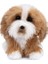 Dünyanın En Tatlı Köpeği, Boo & Friends Tibet Terrier Köpek Yavrusu, Doldurulmuş Hayvan, 1 Yaş ve Üzeri, 5 Inç (Yurt Dışından) 1