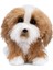 Dünyanın En Tatlı Köpeği, Boo & Friends Tibet Terrier Köpek Yavrusu, Doldurulmuş Hayvan, 1 Yaş ve Üzeri, 5 Inç (Yurt Dışından) 4