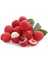 Liçi (Lychee, Litchi) Fidanı 1 YAŞ 20 CM (YERLİ ÜRETİM) 3