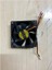 8 cm 3 Pinli Fan 8 cm 12 Volt Fan 12 Volt 8 cm Fan 2