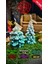 1x Kozalaklı Çam Ağacı 1x Venedik Çam Ağacı Yılbaşı Konsept Özel Çam Kokulu Soya Wax Mum 2'li Set 1