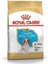 Royal Canin Cavalier King Charles Junior Yavru Köpek Maması 1,5 kg - Lisinya 1