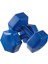 Tekno Trust Mavi 3 kg x 2 Adet 6 kg Dambıl Seti 6 kg Dumbell Set 1
