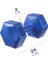 Tekno Trust Mavi 3 kg x 2 Adet 6 kg Dambıl Seti 6 kg Dumbell Set 3