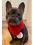 Kırmızı Renkli Köpek Atkısı S M L Beden Seçenekleri ile Yılbaşı Temalı Köpek Aksesuarı 5