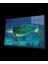Deniz Kaplumbağası Cam Tablo Sea Turtle 1
