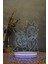 Rick And Morty - 3 Boyutlu 16 Renk Dekoratif Gece Lambası 3d 1