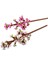 40725 ® Iconic Botanical Collection Kiraz Çiçekleri 430 Parça +8 Yaş Byr [byrtek] 2
