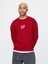 Erkek Kırmızı Logo Vintage Soft Fleece Sweatshirt 1