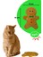 Yılbaşı Temalı Kedi Oyuncağı Hışırtı Sesli Peluş Kurabiye - Gingerbread Sesli Kedi Oyuncağı 3