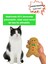 Yılbaşı Temalı Kedi Oyuncağı Hışırtı Sesli Peluş Kurabiye - Gingerbread Sesli Kedi Oyuncağı 4