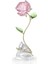 5666973 Swarovski Ev Dekorasyonu Florere:rose 1