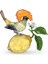 5651811 Swarovski Biblo Idyllia:royal Flycatcher 1