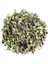 Ebegümeci Otu Malva Sylvestris 1 kg 2