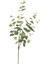Yapay Çiçek Yeşil Okaliptus 90 cm 5dallı Uzun Dal Eucalyptus 1