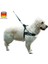 Köpek Bel Tasması Siyah Norveç Tipi 70 x 90 cm 3