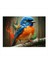 Daldaki Renkli Kuş Çizimi Mdf Poster 25CMX 35CM 1