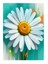 Papatyaların Saflığı Dekoratif Mdf Tablo 25CMX 35CM 1