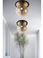 Tekno Trust Alora Siyah Gold Bal Camlı Plafonyer Avize 1