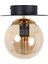 Tekno Trust Alora Siyah Gold Bal Camlı Plafonyer Avize 4