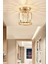 Tekno Trust Luxury Plafonyer Gold Avize 1