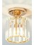 Tekno Trust Luxury Plafonyer Gold Avize 5