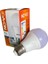 No-Vo 9 Watt LED 60W Akkor Ampul Değerinde E27 LED Ampul Beyaz Işık 1