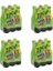 Frutti Extra Yeşil Limonlu 250 ml x 24 Adet 1