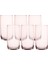 Siena 6\'lı Meşrubat Bardağı Toz Pembe 365CC 5