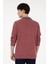 Erkek Bordo Sweatshirt 50290772-VR014 5