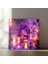 Özel Üretim Cam Tablo Enchanted Reflection Cadı 3