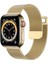 Apple Watch Mıknatıslı Hasır Metal Kordon ( Seri 10 - 42 mm Uyumlu) Gold 1