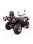 Hunter 300 On-Road Atv 3