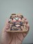 iPhone 13 iPhone 14 Kılıf Leopar Kalpli Ayıcıklı Hello Kitty Minnie Mouse Deri Görünümlü Süet Kılıf 5