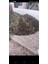 NATUREL SIZMA ZEYTİNYAĞI HAKİKİ NİZİP ( 17 LT ) 3