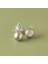 Dekoratif Süs 12'li Silver (4 cm) 1