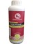 Pascacheval Paskatonic Solution 1 Lt 1