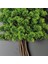 Bonsai Tablaeu - 7b - Mdf Plaka Üzerinde Çerçeveli 3 Boyutlu Yapay Ağaç Tablosu 33X60 cm 4