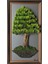 Bonsai Tablaeu - 3A - Mdf Plaka Üzerinde Çerçeveli 3 Boyutlu Yapay Ağaç Tablosu 33X60 cm 1